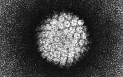 Koronawirus - nowe zasady bezpieczeństwa