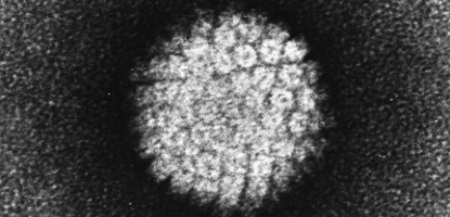 Koronawirus - nowe zasady bezpieczeństwa